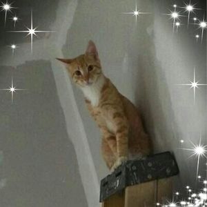 Meet your Posher, Maria